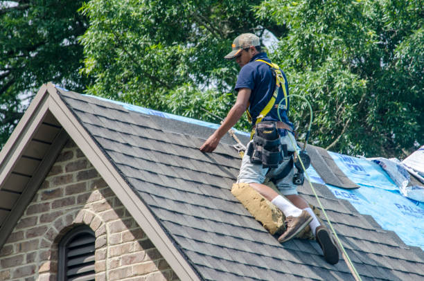 Tile Roofing Contractor in Ball, LA